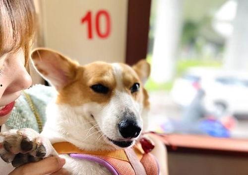 企鹅吃瓜爆料最新版,娱乐圈最新猛料大揭秘! 第1张 企鹅吃瓜爆料最新版,娱乐圈最新猛料大揭秘! 第1张